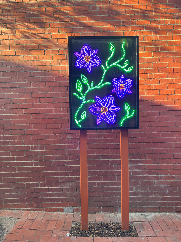 Reignite Croydon, Laneway Lights, Croydon, Alinta Koehrer 2025